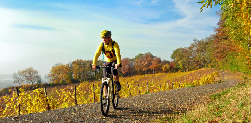 Herbst im Siebengebirge
