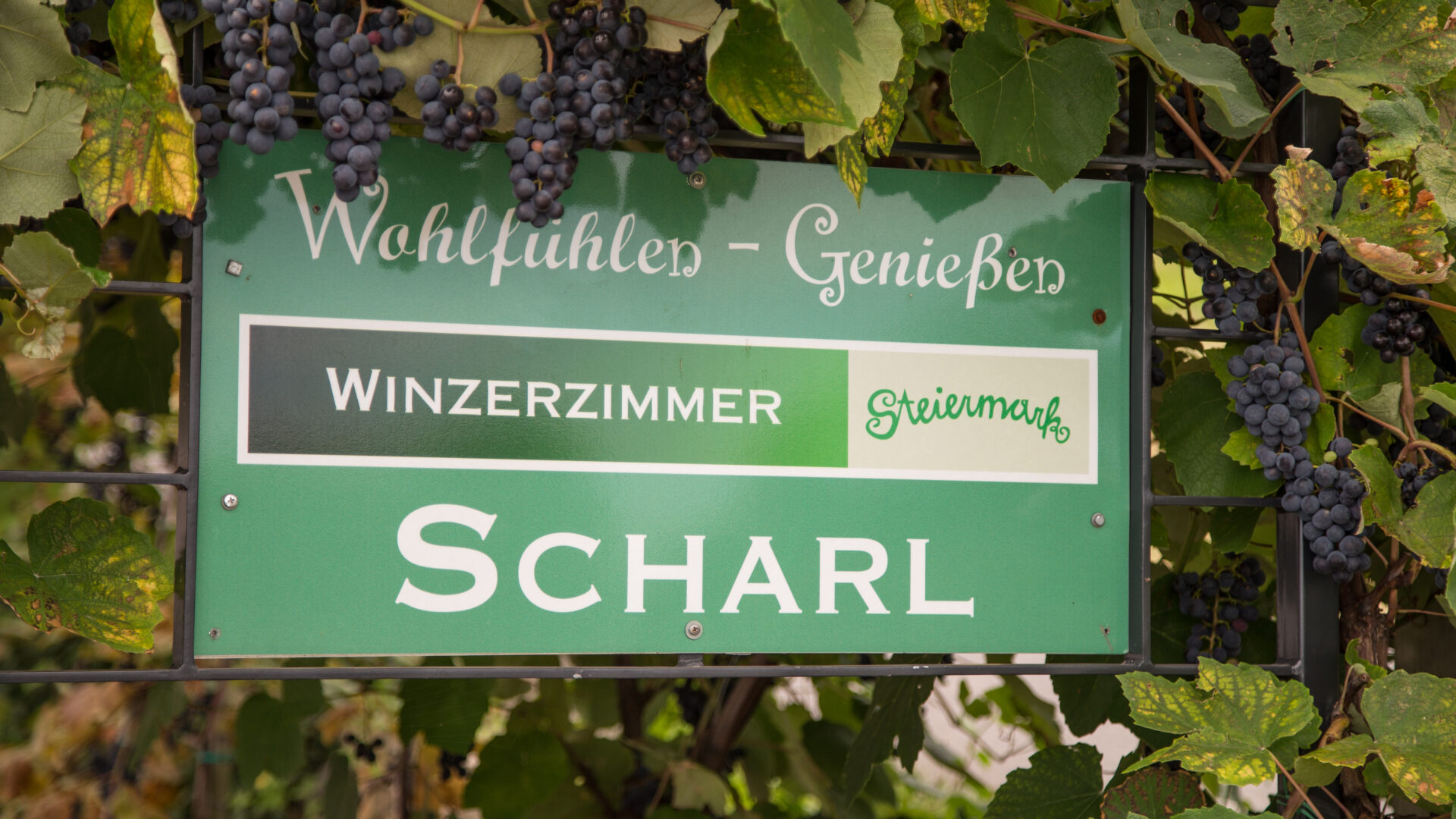 Winzerzimmer Scharl