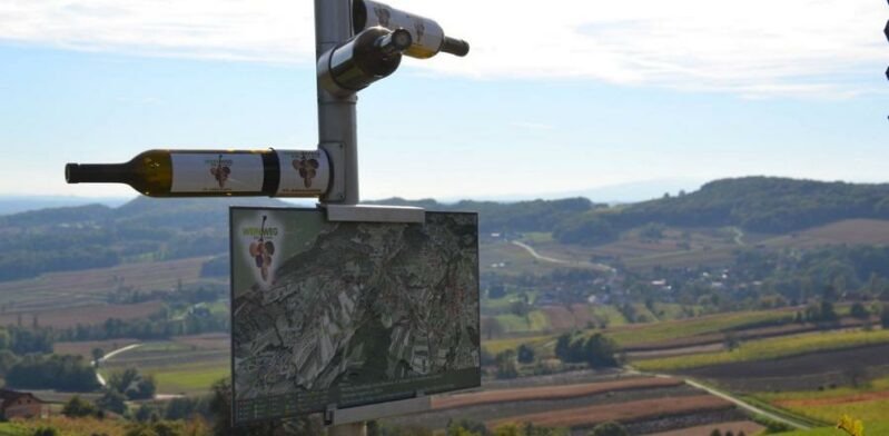 Weinweg der Sinne